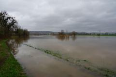 Hochwasser der Weser in diesen Tagen