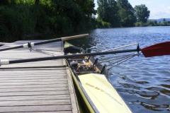 Ruderbilder