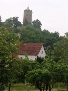 DSC00780