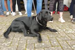 20240407_Anrudern-17