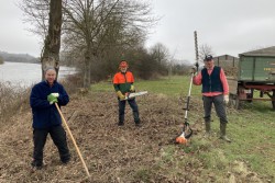 2021_RVW_Arbeitsdienst-27.02.2021_Strauchschnitt-am-Weserufer-1