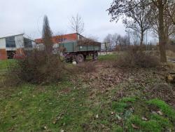 2021_RVW_Arbeitsdienst-27.02.2021_Strauchschnitt-am-Weserufer-4