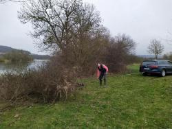 2021_RVW_Arbeitsdienst-27.02.2021_Strauchschnitt-am-Weserufer-5