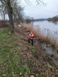 2021_RVW_Arbeitsdienst-27.02.2021_Strauchschnitt-am-Weserufer-7