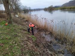 2021_RVW_Arbeitsdienst-27.02.2021_Strauchschnitt-am-Weserufer-8