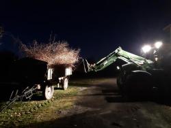 2021_RVW_Arbeitsdienst-27.02.2021_Strauchschnitt-am-Weserufer-9