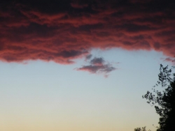 DSCF0232