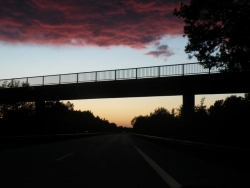DSCF0233