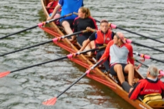 Donauwanderfahrt_2017-41