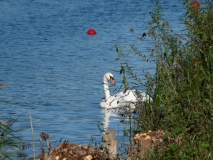 P1090108