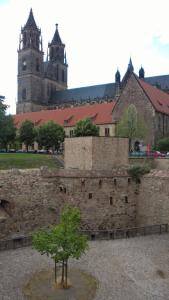 WP_20150725_19_46_56_Pro