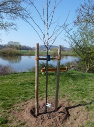 Frühjahrsputz2019_8