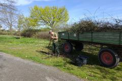 20240406_Fruehjahrsputz-10