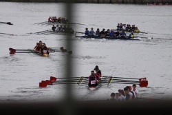 img_3987_bildgrose-andern