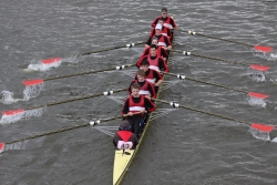 img_4040_bildgrose-andern