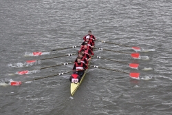 img_4048_bildgrose-andern