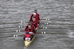 img_4061_bildgrose-andern