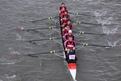 img_4081_bildgrose-andern