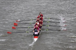 img_4094_bildgrose-andern