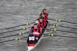 img_4106_bildgrose-andern