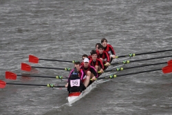 img_4116_bildgrose-andern