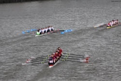 img_4122_bildgrose-andern_bildgrose-andern