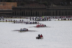 img_4160_bildgrose-andern_bildgrose-andern