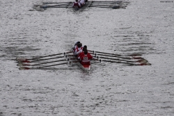 img_4179_bildgrose-andern_bildgrose-andern