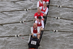 img_4207_bildgrose-andern