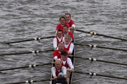 img_4217_bildgrose-andern