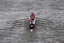 img_4241_bildgrose-andern