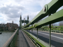 s7301146_bildgrose-andern_bildgrose-andern