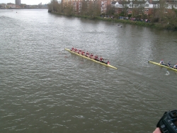 s7301172_bildgrose-andern