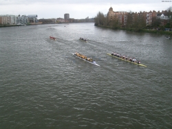 s7301173_bildgrose-andern