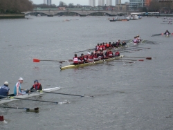 s7301179_bildgrose-andern_bildgrose-andern