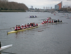 s7301182_bildgrose-andern