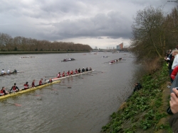 s7301183_bildgrose-andern