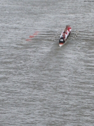 s7301203_bildgrose-andern