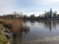 20230311_HeadAmstel-4