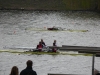 muenster133.jpg
