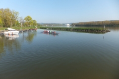Passau-Inn-River-Race-2017 (22)