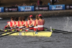 RBL Hamburg 2010