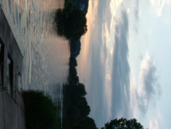 DSCF1539