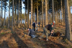 Solling_Pflanzaktion_07.02.2020-2