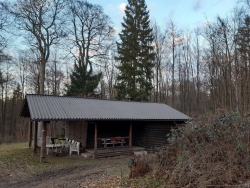 Solling_Pflanzaktion_07.02.2020-6