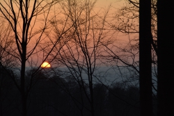 Solling_Pflanzaktion_07.02.2020-8