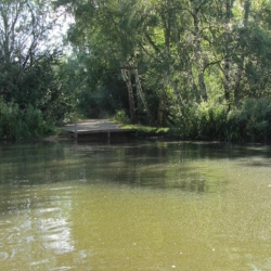 Steinhuder Meer (21)