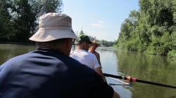 Steinhuder Meer (22)