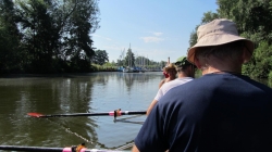 Steinhuder Meer (23)