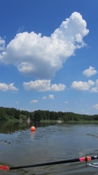 Steinhuder Meer (28)